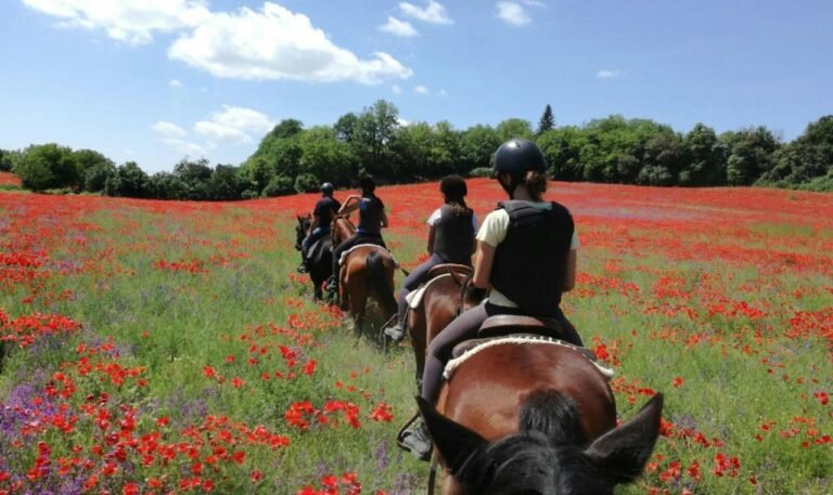 Agriturismo San Filippo 5