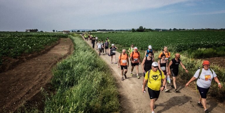 via Francigena