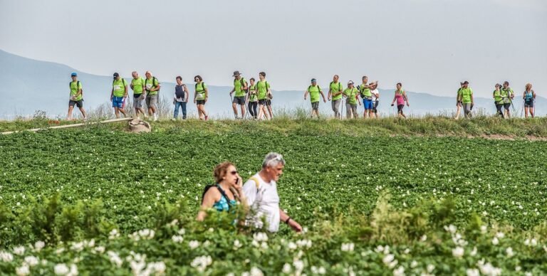 via Francigena